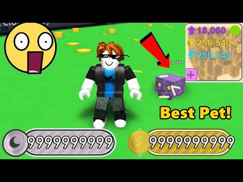 Noob With Rainbow Core Shock Best Pet In Game Pet Simulator