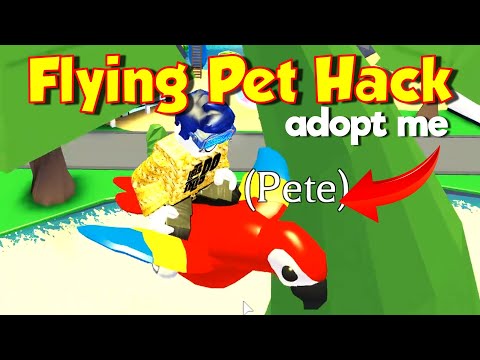 Flying Pet Hack In Adopt Me How To Make Your Pets Fly For Free