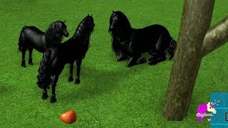 Baby Pegasus Foal Friends Horse Heart Let S Play Online Roblox