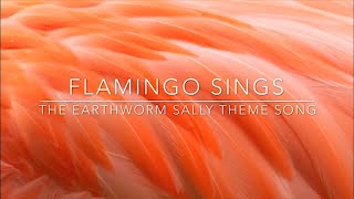 Albert Singing Flamingo Roblox Id