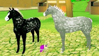 Friesian Lets Play Roblox Horse Heart Online Horses Game Play