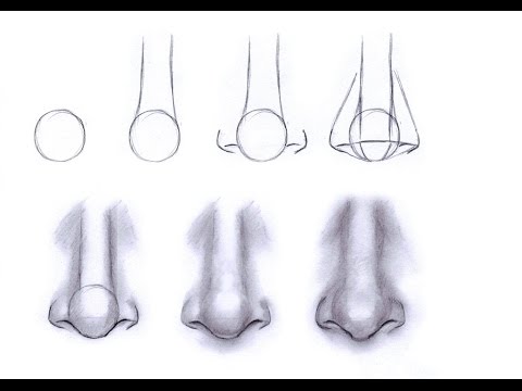 Featured image of post How To Draw A Nose Step By Step For Beginners