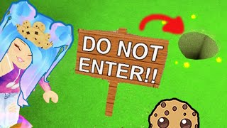 Hide And Seek Extreme Meep City Cookie Swirl Roblox Game Video
