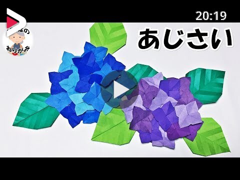 折り紙 あじさいの花と葉の折り方 簡単 音声解説あり Origami Hydrangea 6月梅雨シリーズ 4 ばぁばの折り紙 دیدئو Dideo